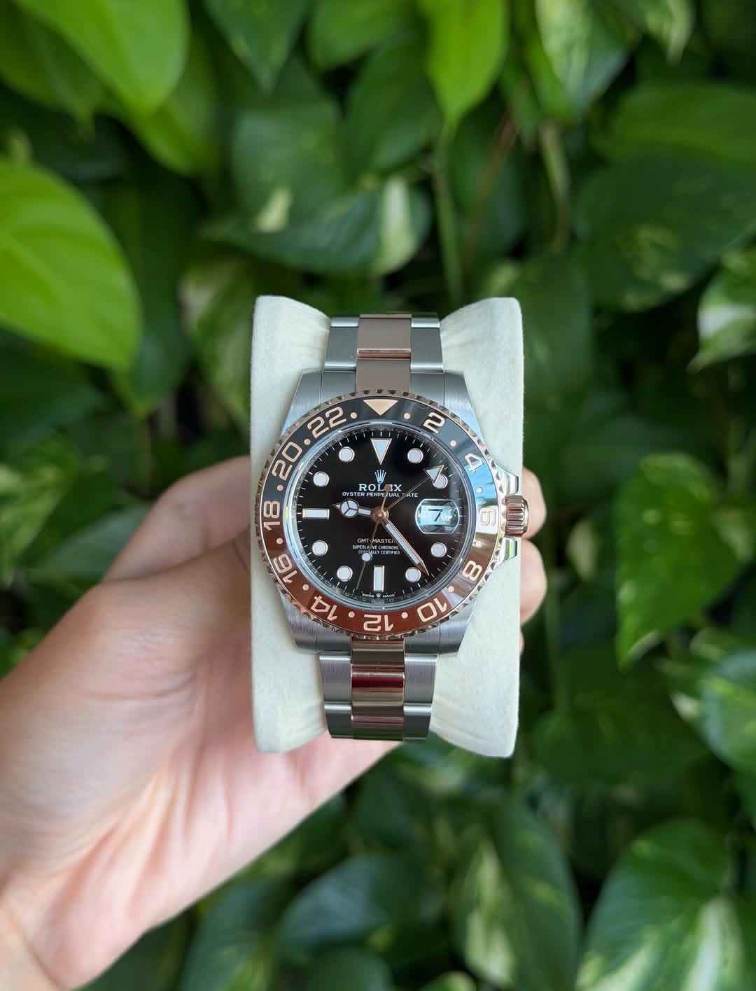 ROLEX GMT MASTER II ROOT-BEER