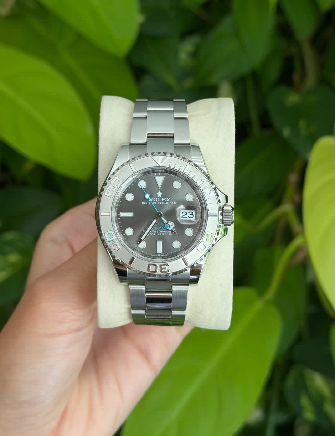 ROLEX YACHT-MASTER GRIGIO RODIO