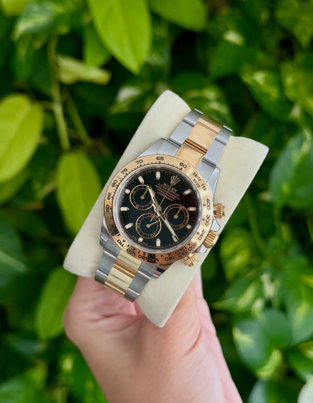ROLEX DAYTONA BLACK & GOLD