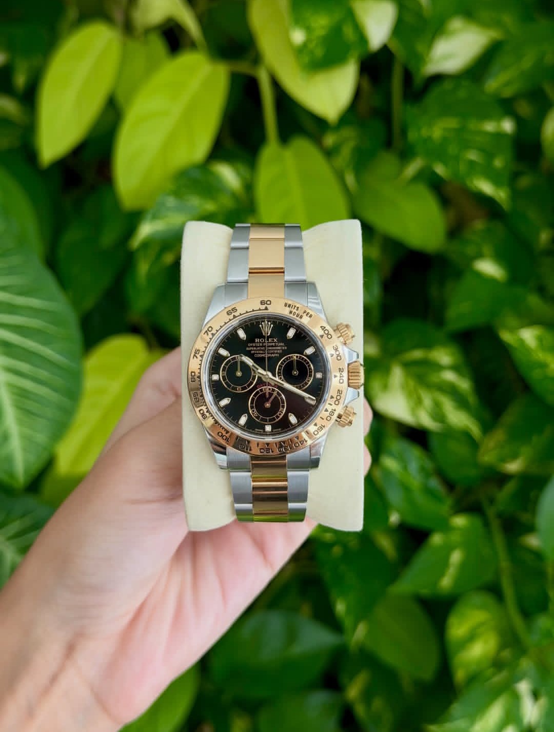 ROLEX DAYTONA BLACK & GOLD