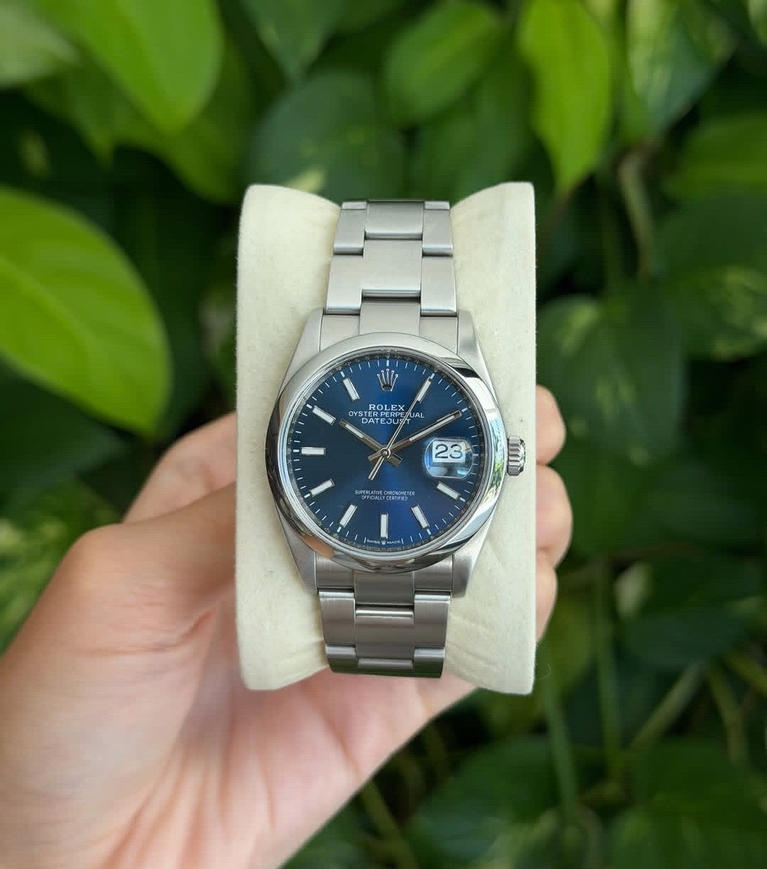 ROLEX OYSTR PERPETUAL BLU DIAL