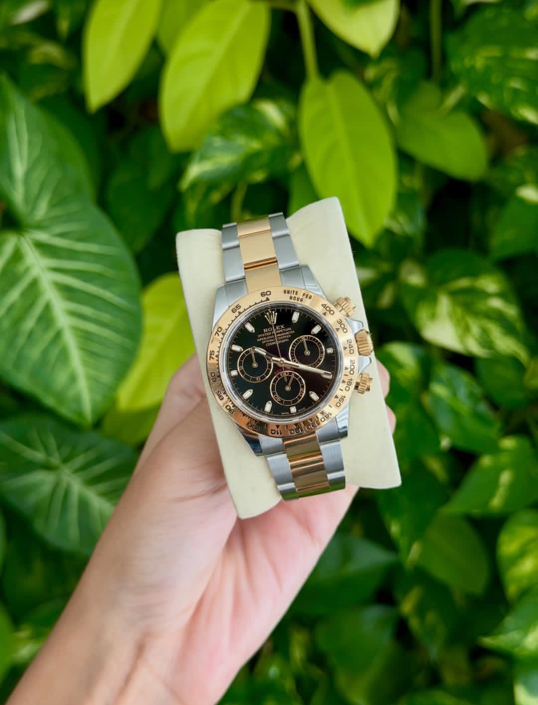 ROLEX DAYTONA BLACK & GOLD