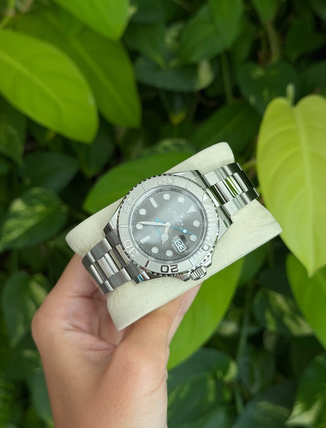 ROLEX YACHT-MASTER GRIGIO RODIO