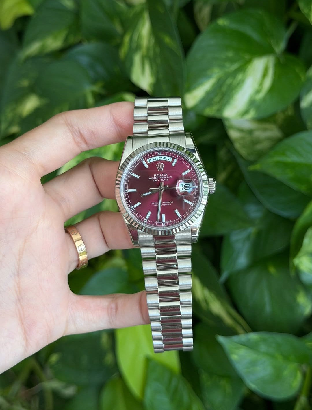 ROLEX DAY-DATE CHERRY
