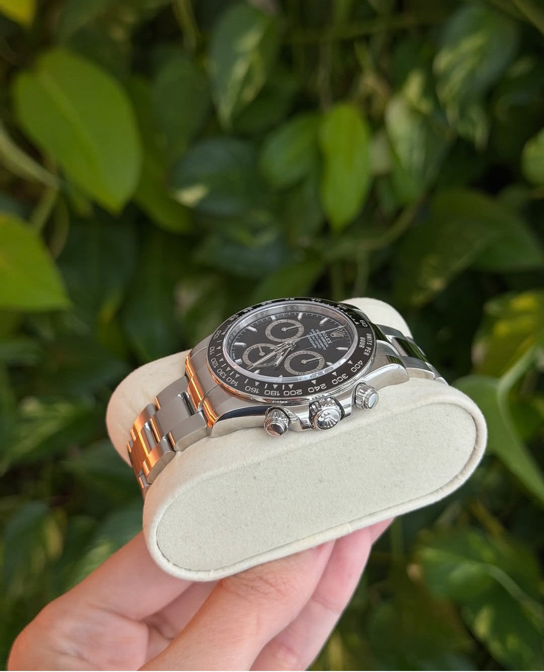 ROLEX DAYTONA CERAMIC BLACK